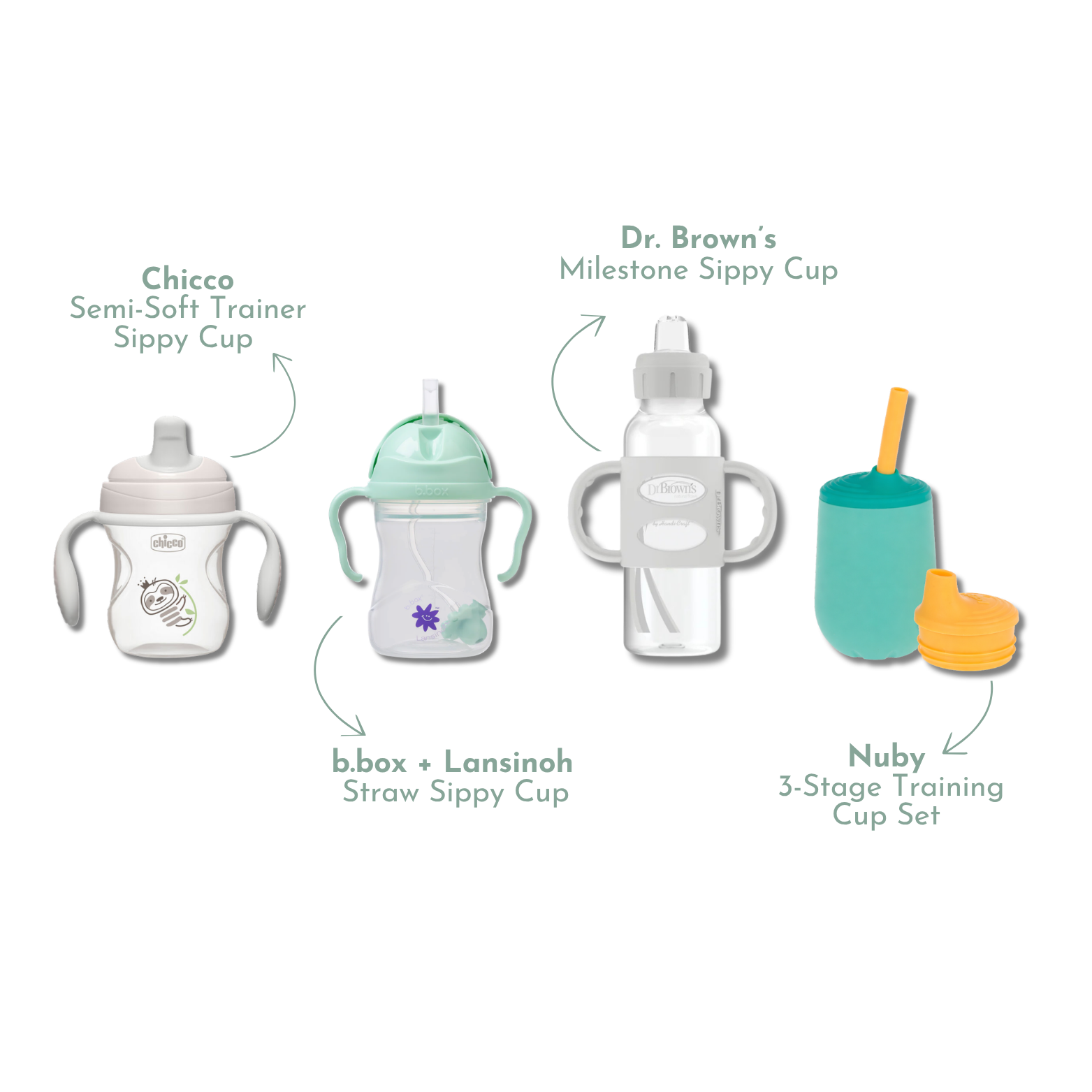 Sippy Cup Discovery Box