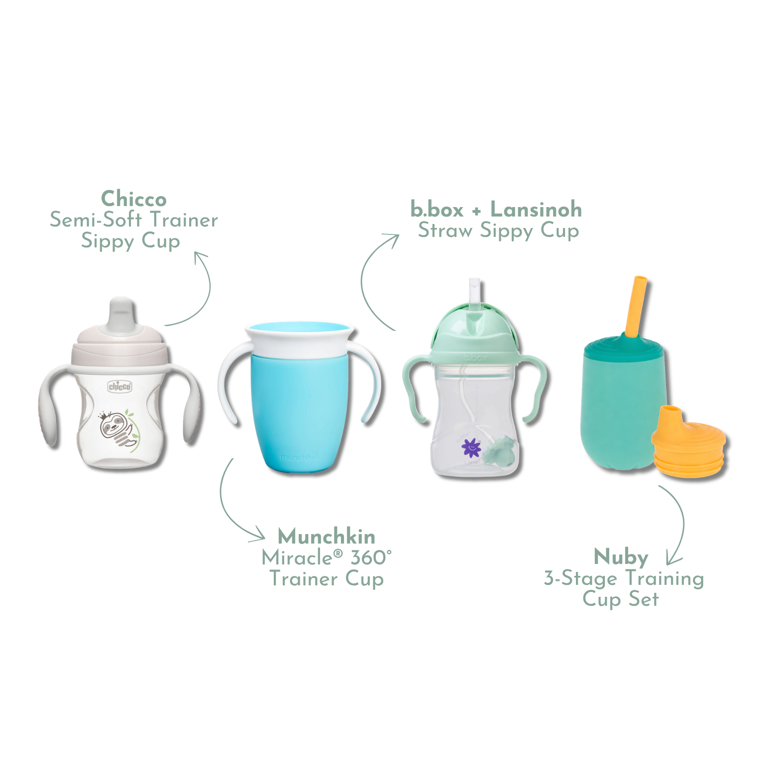 Sippy Cup Discovery Box