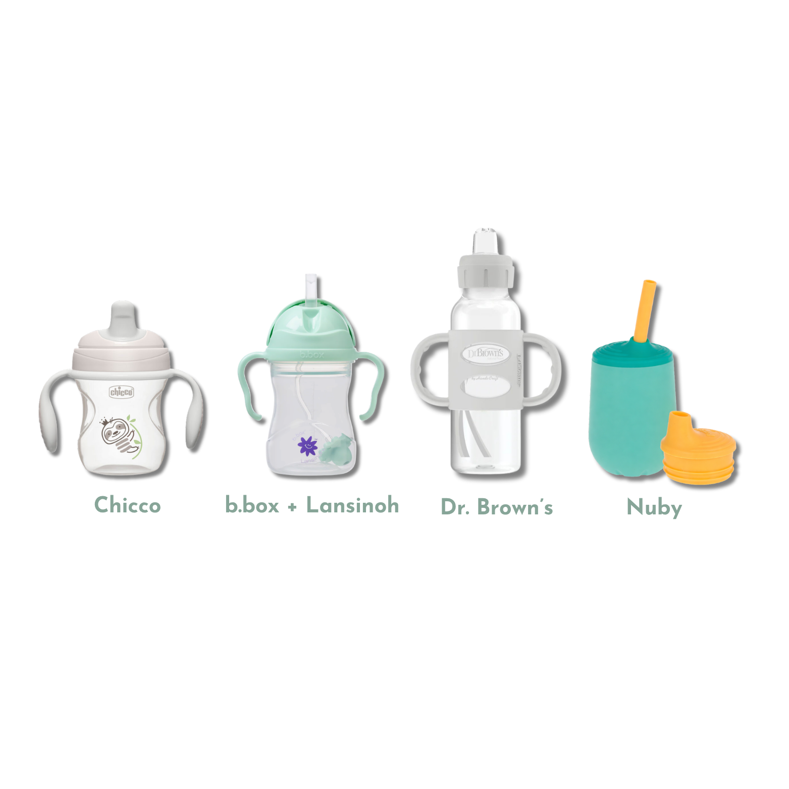 Sippy Cup Discovery Box