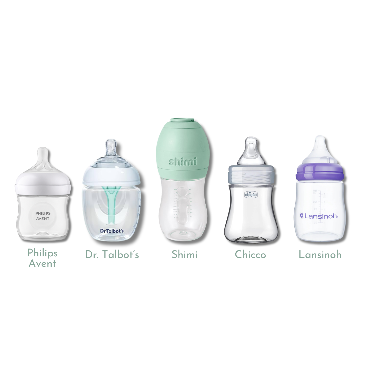 Bottle Discovery Box