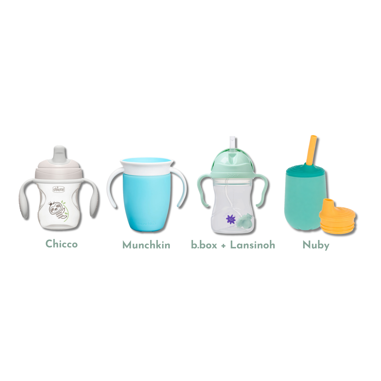 Sippy Cup Discovery Box