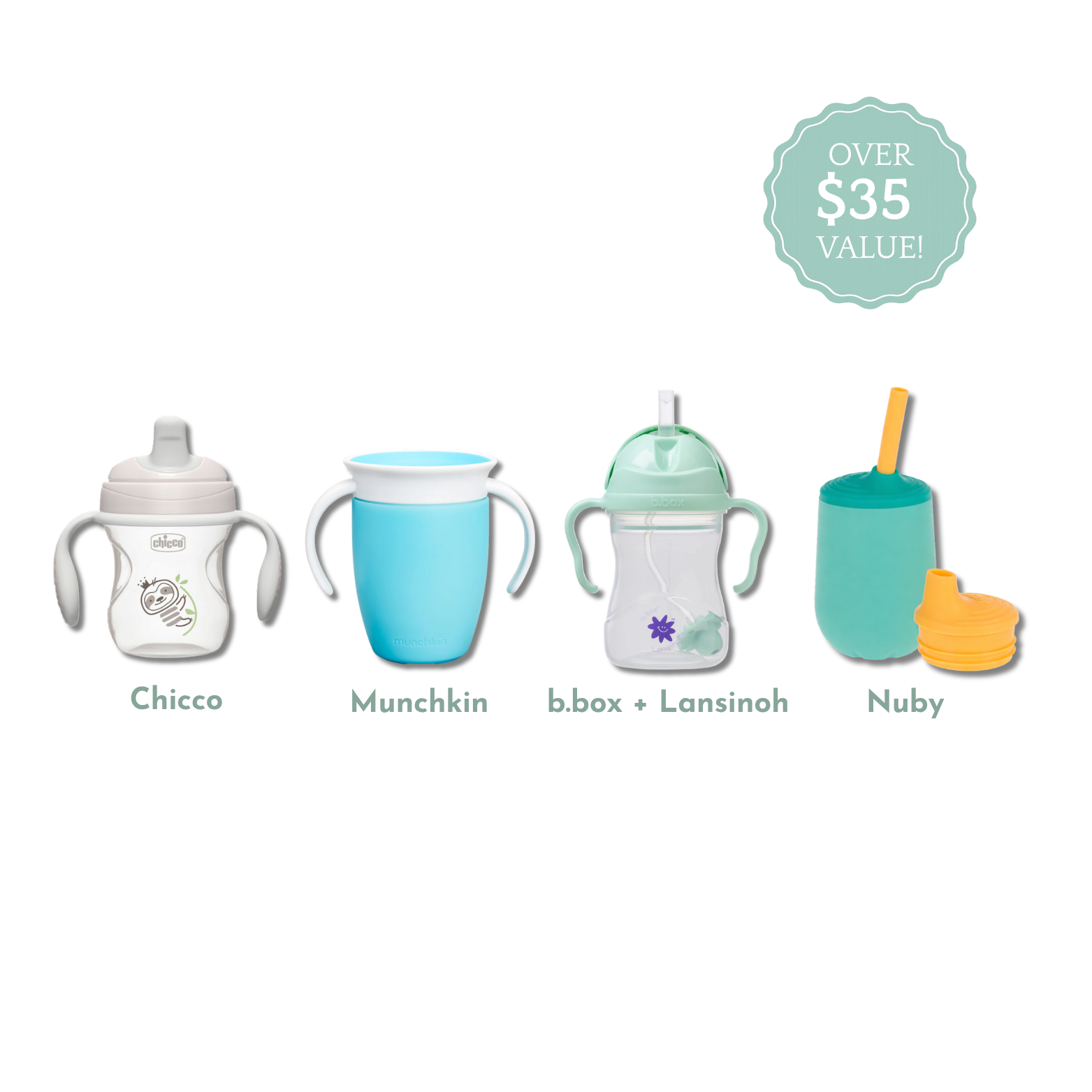 Sippy Cup Discovery Box